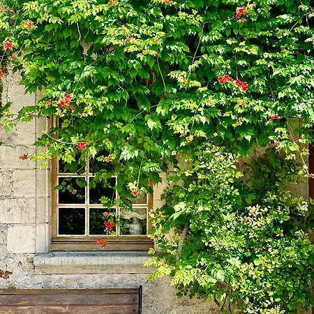 Le Prieure Sur Seine * Marnay-sur-Seine